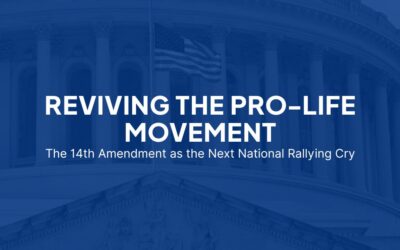 The 14th Amendment Strategy: The 14th Amendment as the Next National Rallying Cry